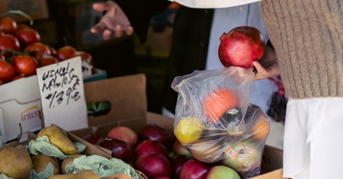 Tragetasche: Die besten Tipps zur Auswahl der perfekten Tasche für jeden Anlass