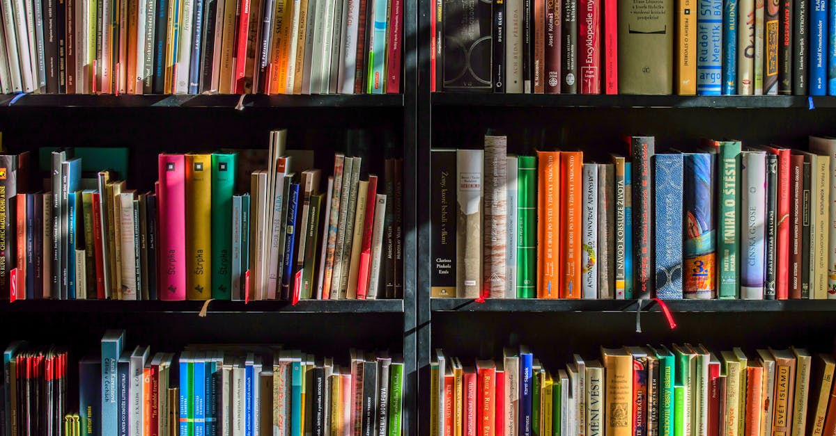Bücher für Babys: Die besten Empfehlungen für die frühkindliche Leseförderung