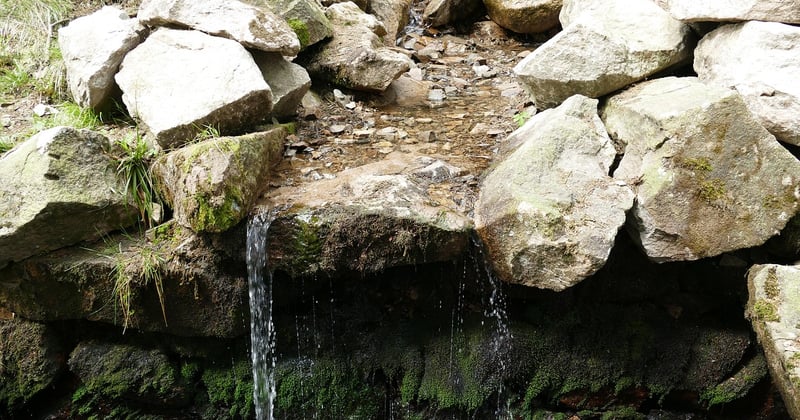 Rehberge Berlin entdecken: Parks, Kultur & versteckte Highlights
