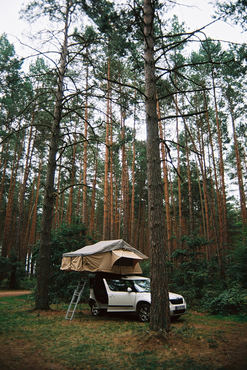 Campingplatz Drôme: Ihr perfekter Urlaubsort in der Provence