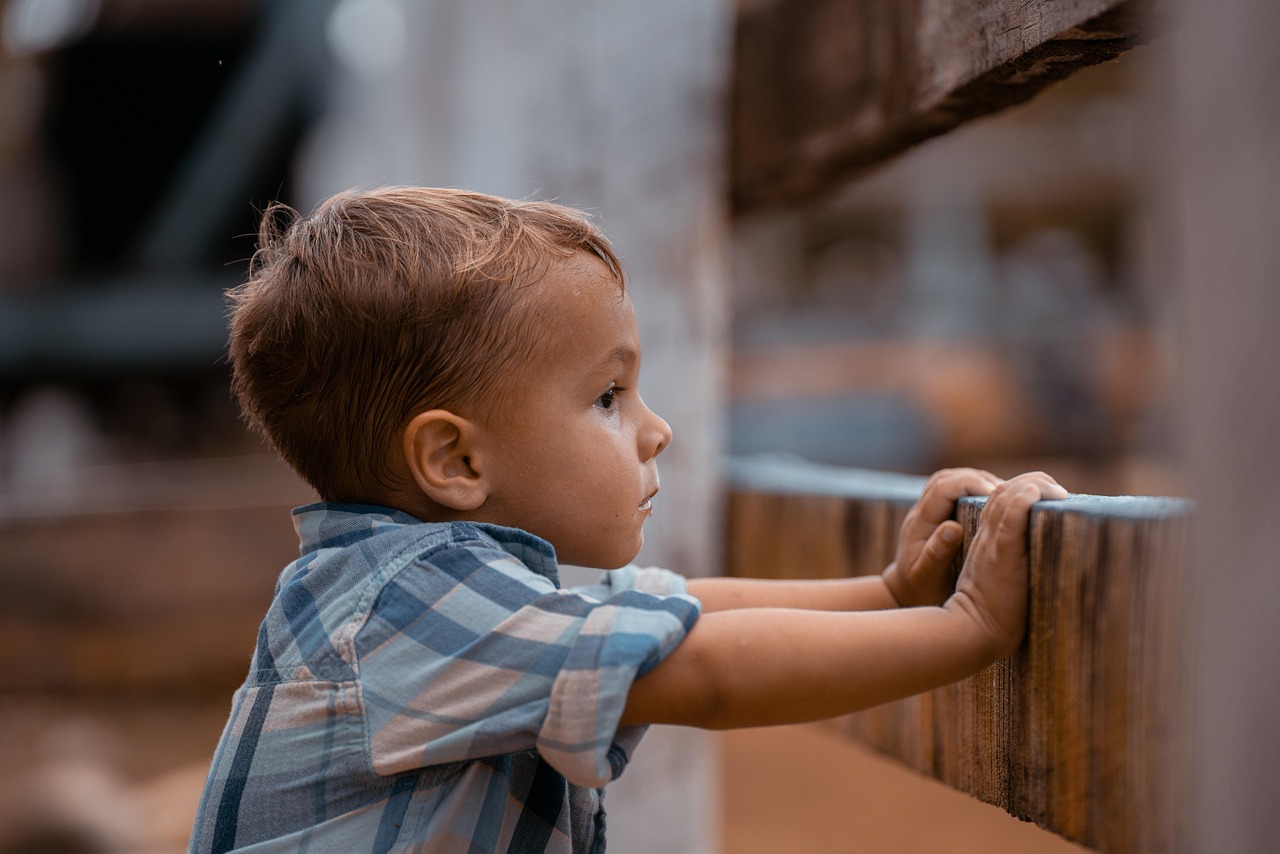 entdecken sie hilfreiche tipps und ratschläge zur kindererziehung. lernen sie effektive methoden kennen, um das verhalten und die entwicklung ihres kindes positiv zu beeinflussen.