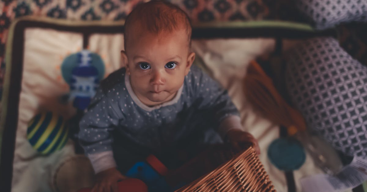 entdecken sie die beste auswahl an babyartikeln! von tragbaren kinderwagen über komfortable autositze bis hin zu süßen babybekleidungen - alles, was sie für die erste lebenszeit ihres babys benötigen.