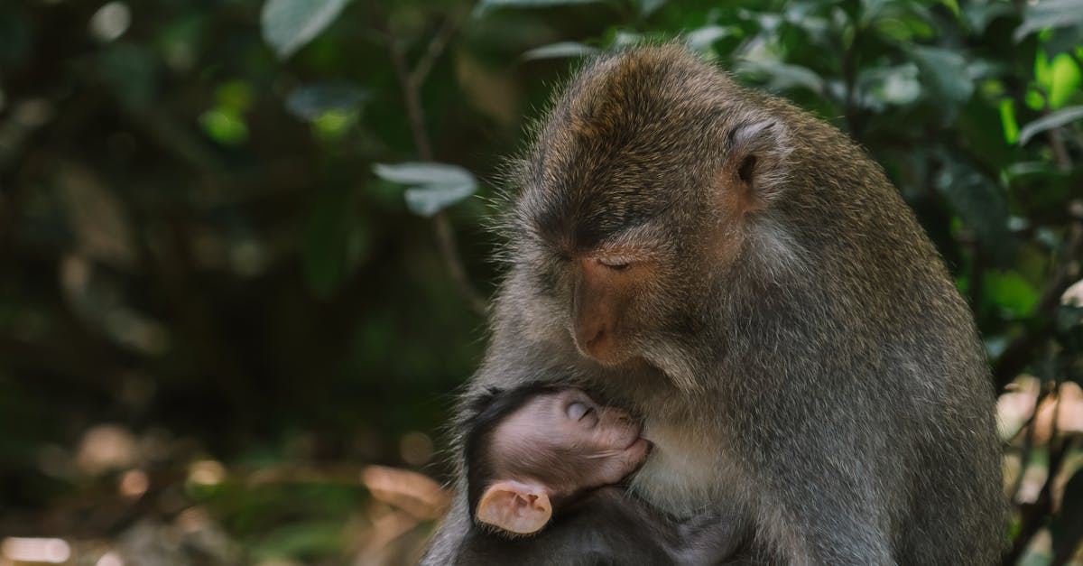 entdecken sie die vorteile des stillens für mutter und kind. erfahren sie, wie sie erfolgreich stillen können und welche tipps ihnen helfen, diese wertvolle zeit zu genießen.