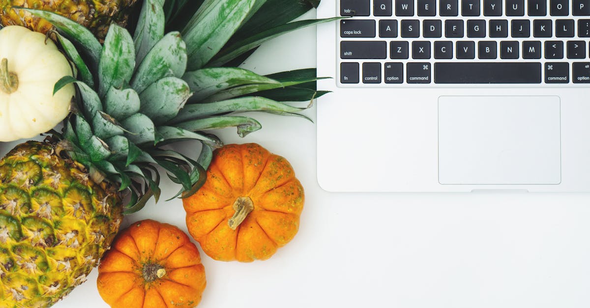 entdecken sie die grundlagen der ernährung und erfahren sie, wie eine ausgewogene ernährung ihr wohlbefinden steigern kann. tipps, rezepte und wissenschaftliche einblicke für ein gesundes leben.