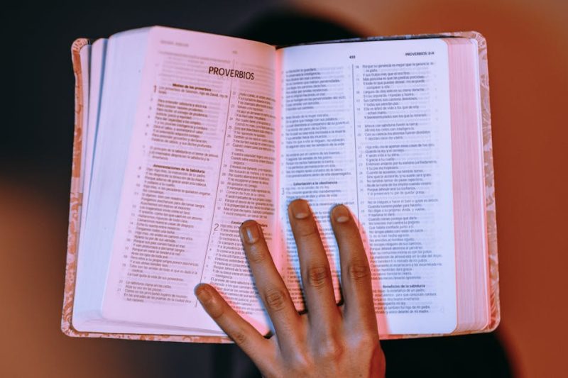 Sprichwörter für Eltern: Weisheiten, die den Alltag bereichern