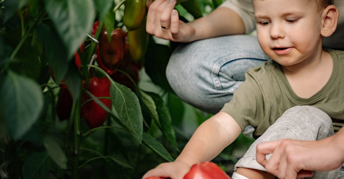 entdecken sie nachhaltige erziehungsmethoden, die die umwelt schützen und gesunde werte für die nächste generation fördern. tipps und ressourcen für umweltbewusste eltern.