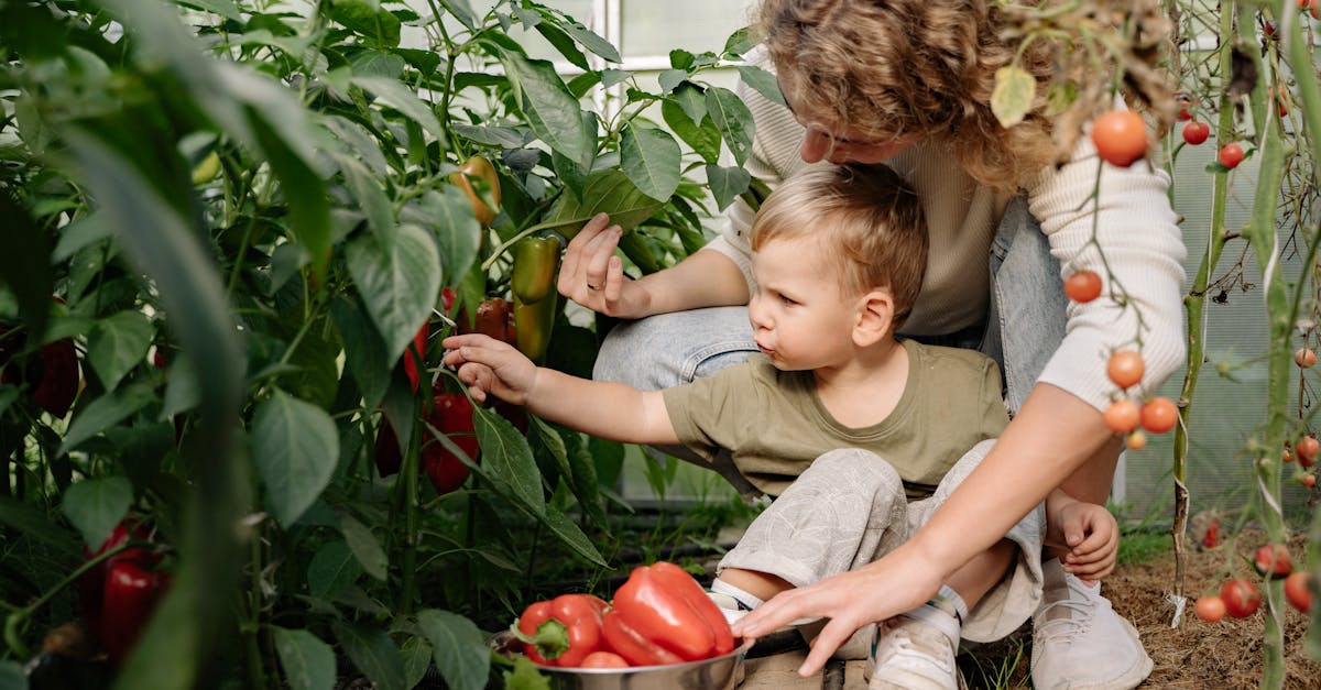 entdecken sie nachhaltige erziehungstipps für umweltbewusste eltern. lernen sie, wie sie umweltfreundliche entscheidungen für ihre kinder treffen und eine grüne zukunft fördern können.