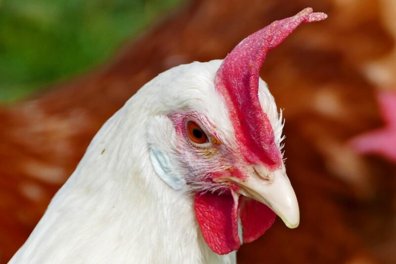 Patenschaft f&uuml;r Fr&uuml;hgeborene: Wie Sie Leben retten k&ouml;nnen