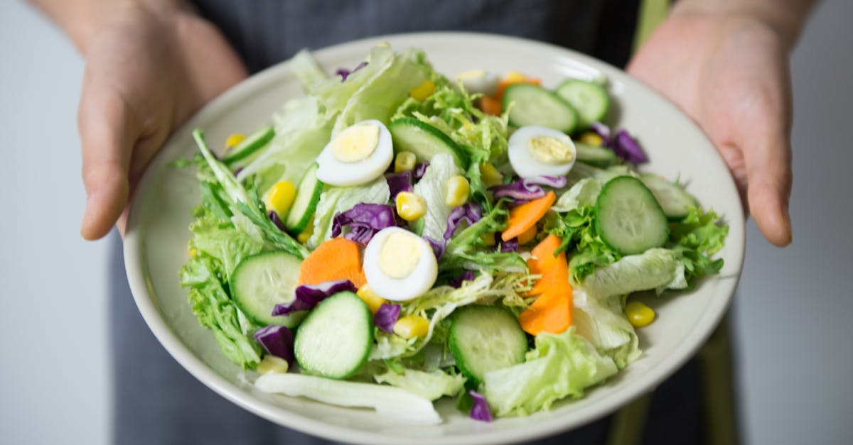 entdecken sie die welt der ernährung: tipps, rezepte und informationen für eine ausgewogene und gesunde ernährung. verbessern sie ihr wohlbefinden durch bewusste essgewohnheiten.
