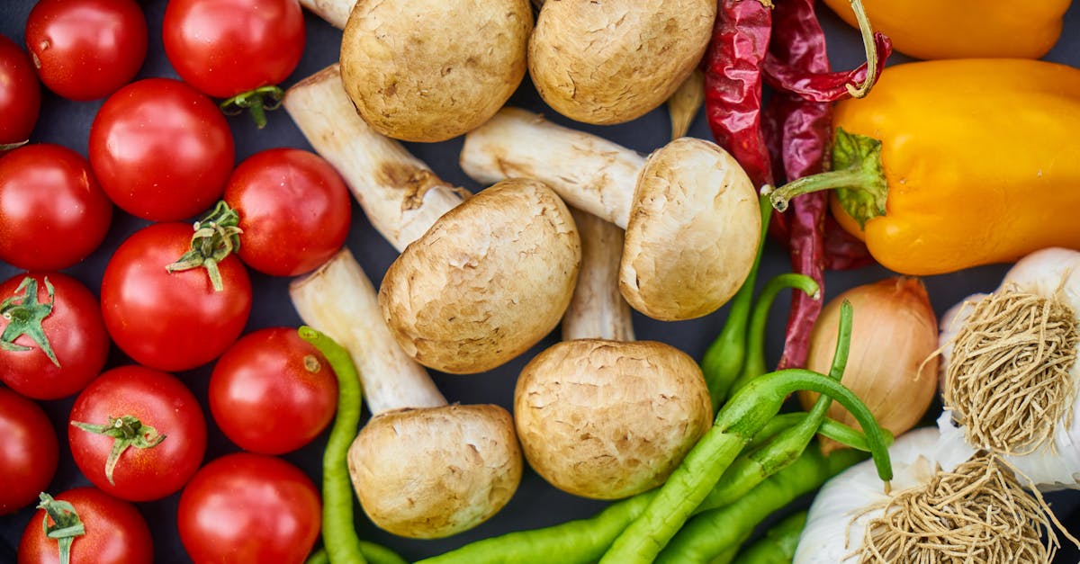 entdecken sie die grundlagen einer ausgewogenen ernährung und erfahren sie, wie sie gesunde essgewohnheiten entwickeln können, um ihr wohlbefinden und ihre gesundheit zu fördern.