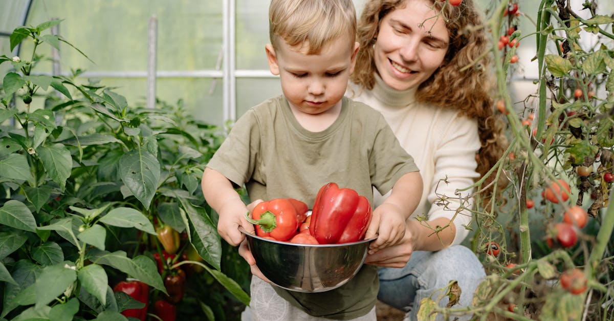 entdecken sie nachhaltige bildung, die nicht nur wissen vermittelt, sondern auch umweltschutz und soziale verantwortung fördert. erfahren sie, wie innovative lehrmethoden und nachhaltige praktiken die zukunft unserer kinder positiv beeinflussen können.