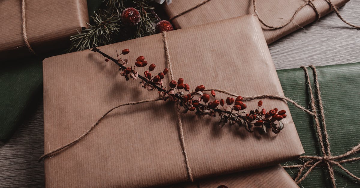 entdecken sie nachhaltige geschenke, die umweltbewusstsein und stil vereinen. ideal für jeden anlass und perfekt für umweltfreundliche menschen. machen sie mit originellen, ökologischen geschenken einen positiven eindruck!