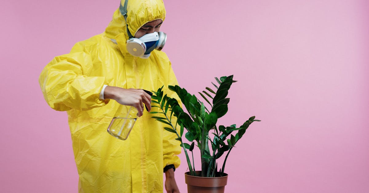 entdecken sie effektive strategien und tipps zur verbesserung der sicherheit in ihrem zuhause. schützen sie ihre lieben mit unseren praktischen ratschlägen und ressourcen für ein sicheres lebensumfeld.