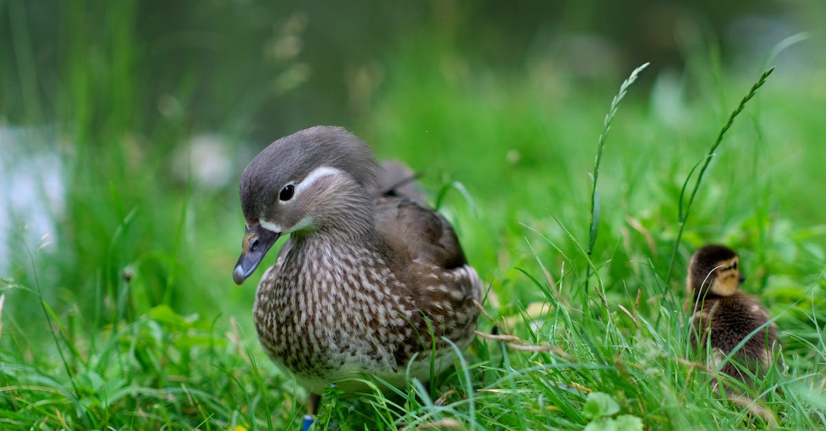 entdecken sie wertvolle ressourcen und tipps für die erziehung von kindern. unsere umfassenden materialien unterstützen eltern dabei, eine liebevolle und fördernde umgebung zu schaffen.