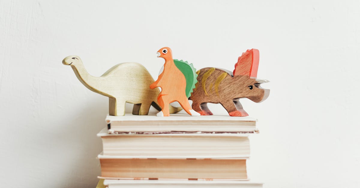 entdecken sie unsere einzigartigen holzspielzeuge, die kreativität und fantasie anregen. sicher, nachhaltig und perfekt für kinder jeden alters – ideal für stundenlangen spielspaß!