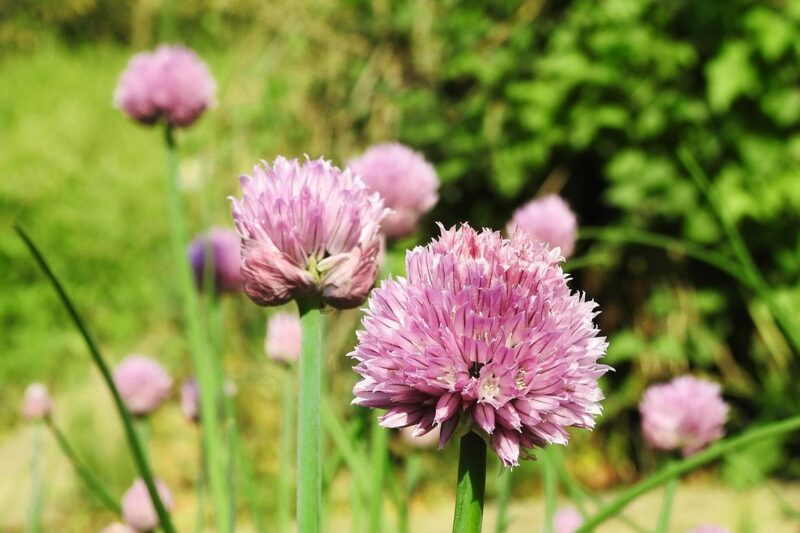 erfahrene hebamme bietet umfassende betreuung und unterst&uuml;tzung w&auml;hrend der schwangerschaft, geburt und nachsorge.