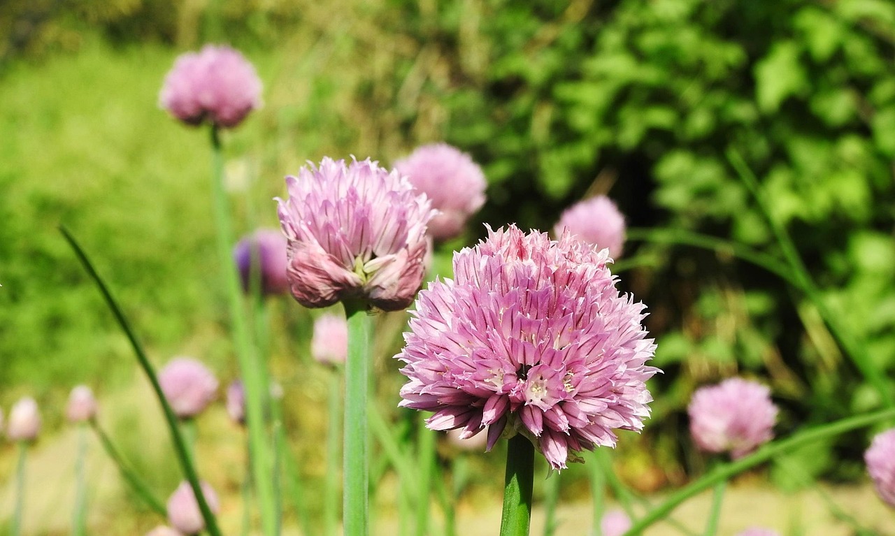 erfahrene hebamme bietet umfassende betreuung und unterst&uuml;tzung w&auml;hrend der schwangerschaft, geburt und nachsorge.